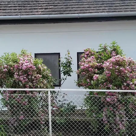 Nyaraló House Szemes Sziveben Balatonszemes